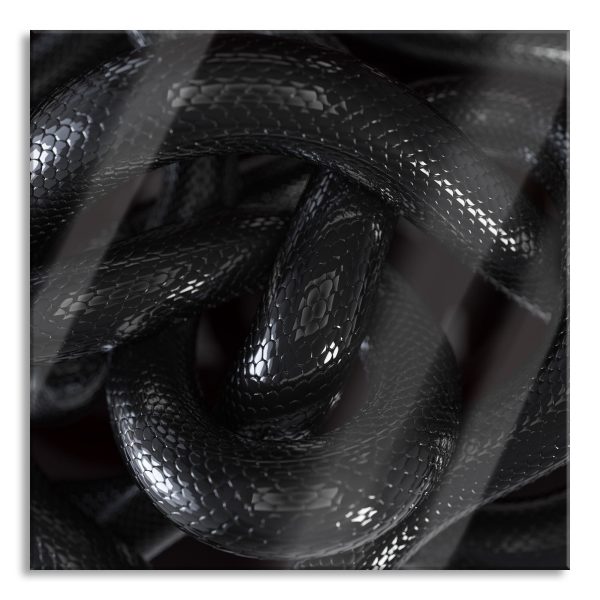 Schwarze elegante Schlange, Glasbild Quadratisch Zu verkaufen