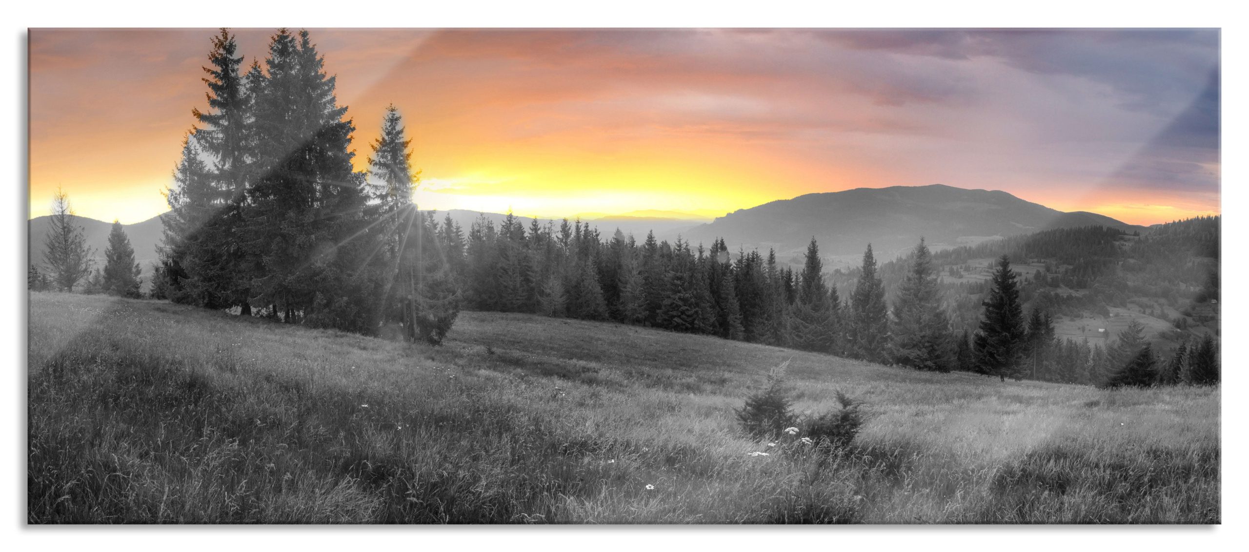 Wiesenlandschaft bei Sonnenuntergang B&W Detail, Glasbild Panorama Angebot
