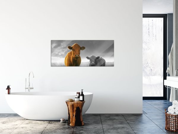 Kuh und Kalb im Sonnenuntergang auf Wiese B&W Detail, Glasbild Panorama Mode – Bild 4