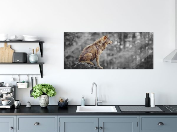 Wolf sitzt auf einem Stein im Herbstwald B&W Detail, Glasbild Panorama Angebot – Bild 3