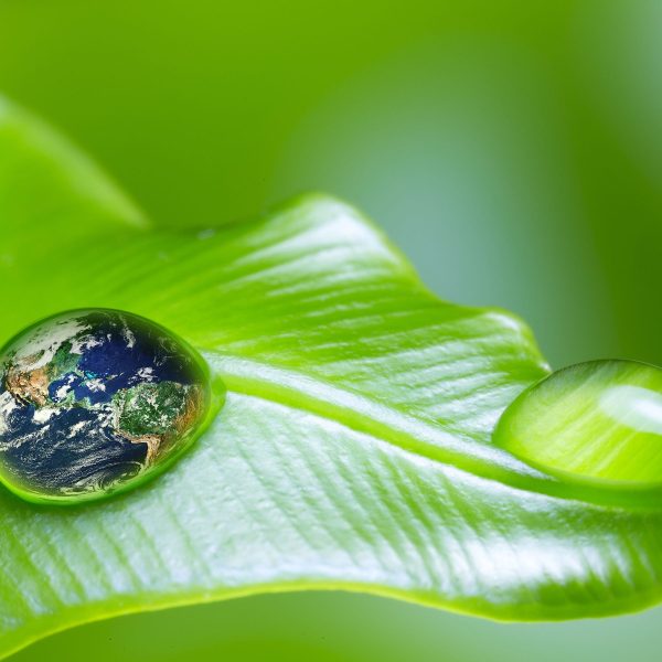 Tautropfen Planet Erde, Glasbild Quadratisch Jetzt online – Bild 5