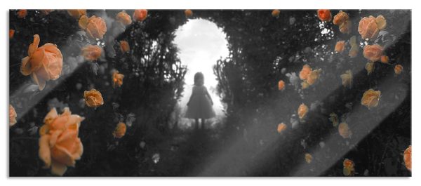 Kleines Mädchen in Rosentunnel B&W Detail, Glasbild Panorama Rabatt