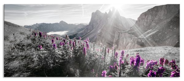 Bergwiese im Puez-Geisler Naturpark B&W Detail, Glasbild Panorama Online