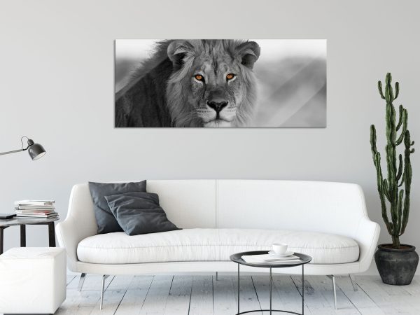 Poträt eines Löwen in der Savanne B&W Detail, Glasbild Panorama Angebot – Bild 2