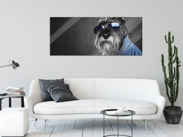 Lustiger Hund mit Hemd und Sonnenbrille B&W Detail, Glasbild Panorama Mode – Bild 2